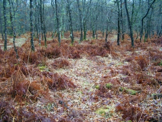 MARIGNE-LAILLE-sarthe