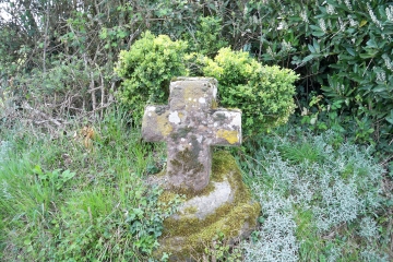 ETIVAL - BOIS DE LA CORNUERE-sarthe