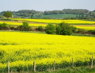 SEGRIE - SENTIER GEOLOGIQUE-sarthe