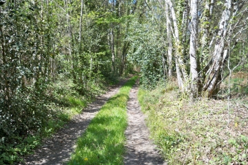 BOUCLE DE SARCE-sarthe