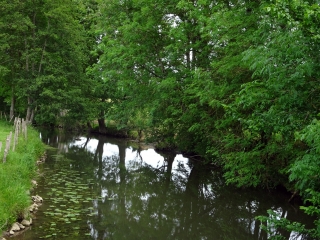 EPINEU-LE-CHEVREUIL - CIRCUIT DU BOIS D EPINEU-sarthe