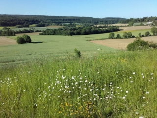 RANDONNEE DANS LE SAONOIS-sarthe