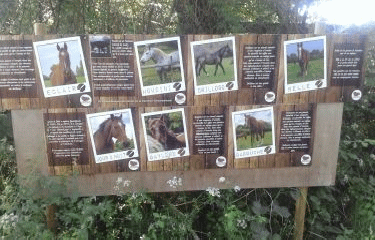 NEUVILETTE-EN-CHARNIE - BOUCLE EST-sarthe