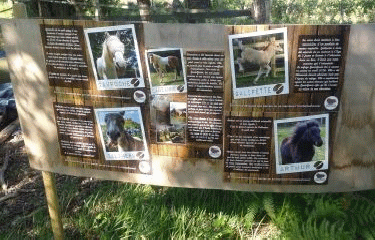 NEUVILETTE-EN-CHARNIE - BOUCLE EST-sarthe