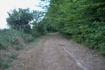 SAINT-VINCENT-sarthe