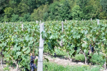 BOUCLES DE MARCON-sarthe