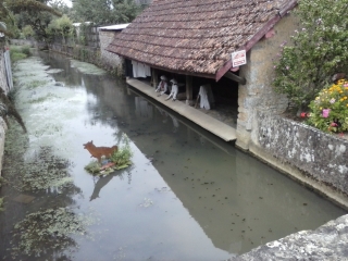 VALLON-CRANNES-sarthe