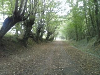 BONNETABLE - BRIOSNE - AULAINES-sarthe