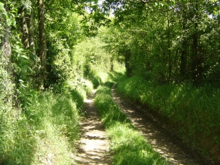 MELLERAY - SUR LE CHEMIN DE CESAR-sarthe