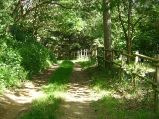 SAINT-MAIXENT - L EAU VIVE-sarthe