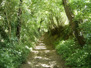 SAINT-JEAN-DES-ECHELLES - TRESOR ARCHITECTURAL CACHE-sarthe