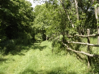 COURGENARD - AUTOUR DU MONT CHAUVEL-sarthe