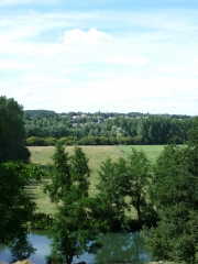 VILLAINES-LA-GONAIS  - LE BRAME DU CERF-sarthe