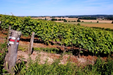 RUILLE-SUR-LOIR - CHATEAU DE LA POTERIE-sarthe