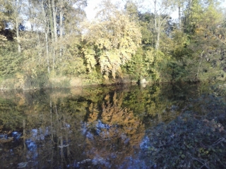 SAINTE-JAMME-SUR-SARTHE-sarthe