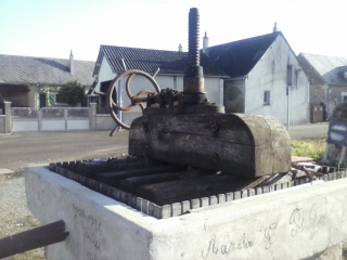 MAYET - LANDE DE SAULION-sarthe