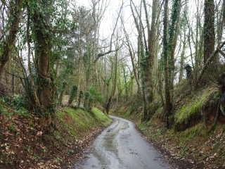 LOMBRON - AUTOUR DE LOMBRON-sarthe