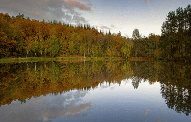 ROCHER DU SAUT DU SERF-sarthe