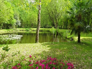 SAINT MARS D OUTILLE - ENTRE SEGRAIS ET L AUTOROUTE-sarthe