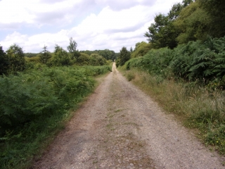 LA PETITE CHARNIE-sarthe