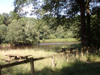 LA PETITE CHARNIE-sarthe