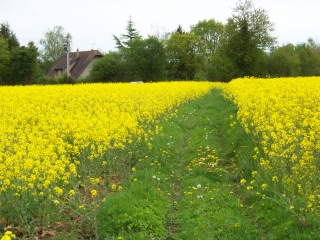 NOGENT-LE-BERNARD-sarthe