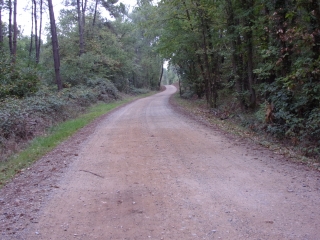 TOUR DE MULSANNE-sarthe