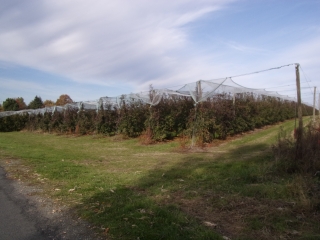 YVRE-LE-POLIN (3)-sarthe