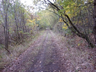 YVRE-LE-POLIN (3)-sarthe