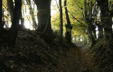 YVRE L EVEQUE-sarthe