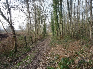 LAVARDIN - CIRCUIT DU FOURNEAU-sarthe
