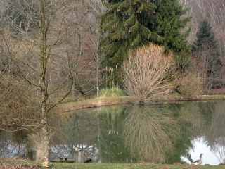 LAVARDIN - CIRCUIT DU FOURNEAU-sarthe