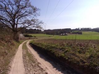 AUBIGNE-RACAN - THEATRE GALLO-ROMAIN DE CHERRE-sarthe