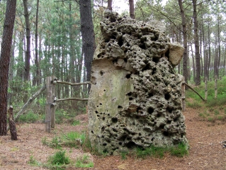 OIZE - VERSION COURTE-sarthe