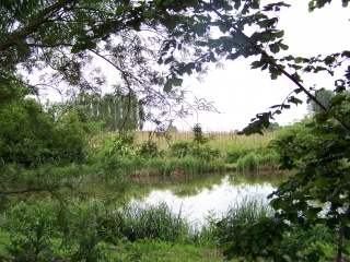 OIZE - VERSION COURTE-sarthe