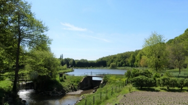 SAINT-GEORGES-LE-GAULTIER-sarthe