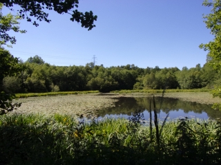 LAILLE - ROND DES FORGES -sarthe