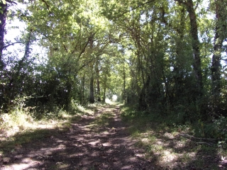 CONFLANS-SUR-ANILLE-sarthe