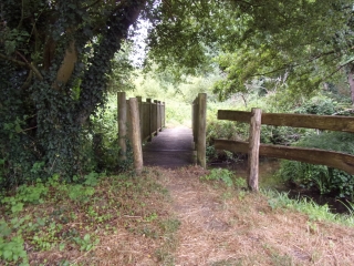 PARIGNE L EVEQUE - SWIN GOLF - SAPINS DE LA SAULE-sarthe