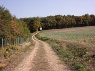 BERCE - CHAHAIGNES-sarthe