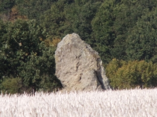 BERCE - CHAHAIGNES-sarthe