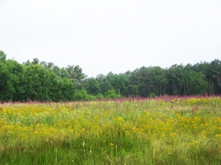 LES BOUCLES DE LAVERNAT-sarthe