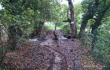 CHALLES - BOIS DES GOUTTES NOIRES-sarthe