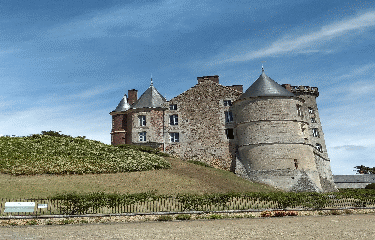 MONTMIRAIL - ETANG DE BOISVINET-sarthe