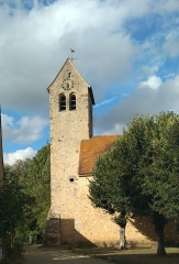 ASNIERES-SUR-VEGRE - BOIS DES TAILLES-sarthe