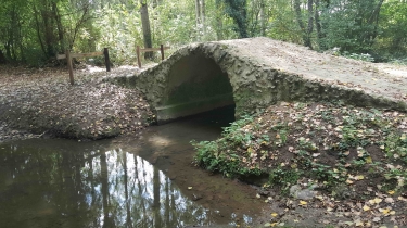 AU SUD DU GRAND LUCE-sarthe