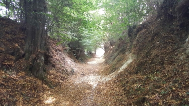 AU SUD DU GRAND LUCE-sarthe