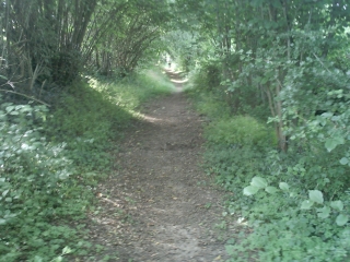 CHEMINS CREUX ET PANORAMAS-sarthe