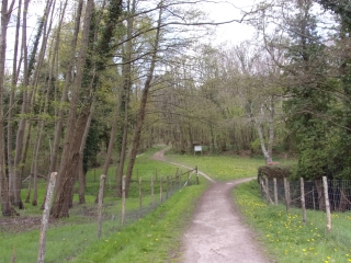 PARIGNE L EVEQUE - BOUCLE DE 23 KM-sarthe