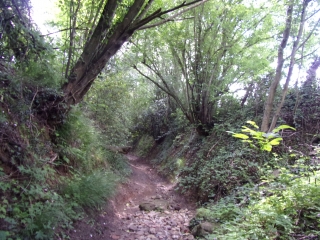 LA CHAPELLE SAINT FRAY - SAINTE SABINE-sarthe